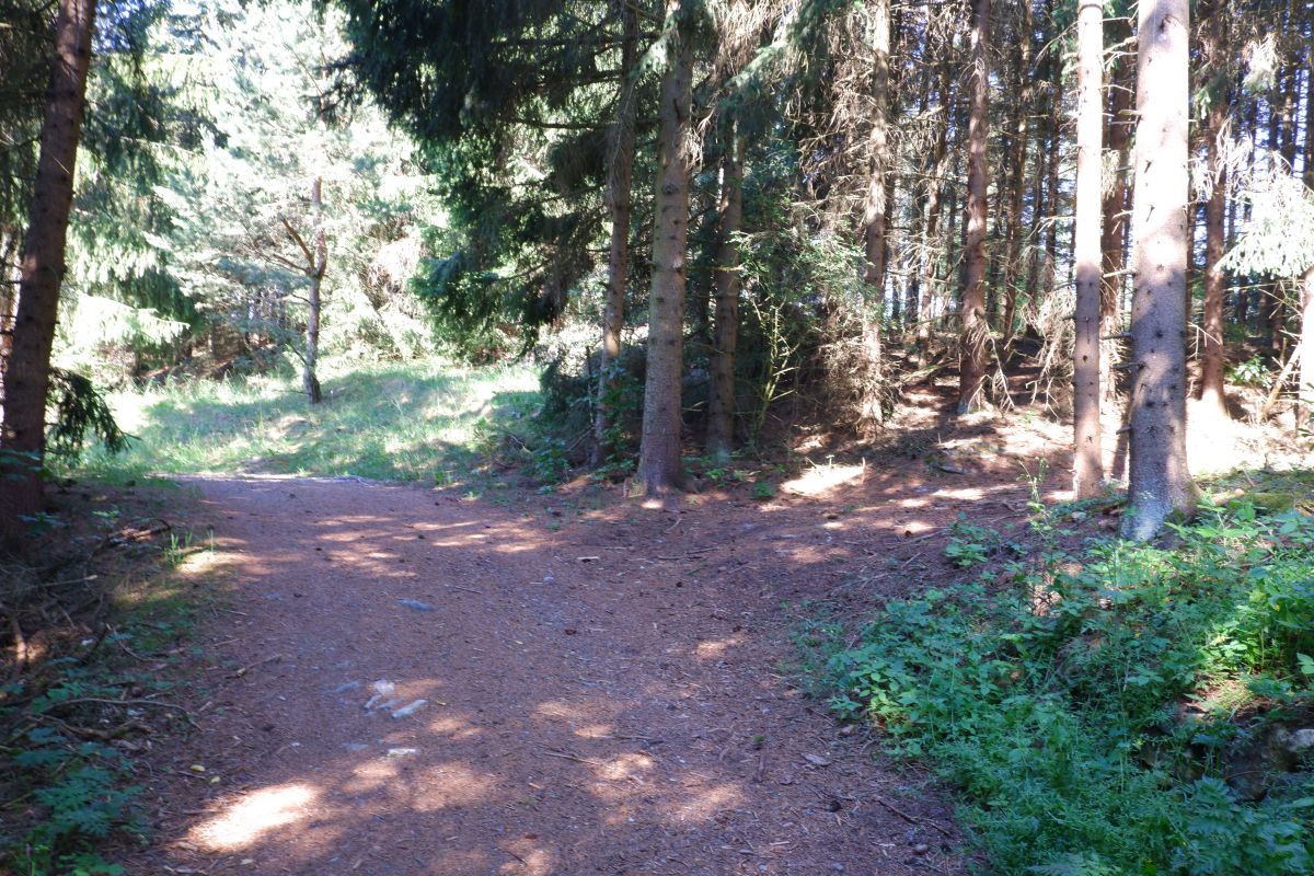 "Tut gut!"-Schritteweg Kottes-Purk