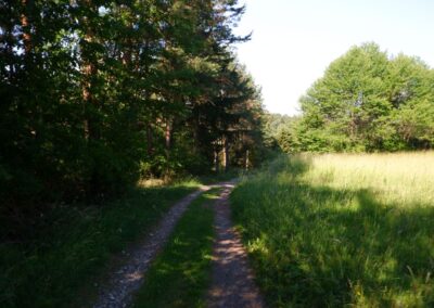"Tut gut!"-Schritteweg Kottes-Purk