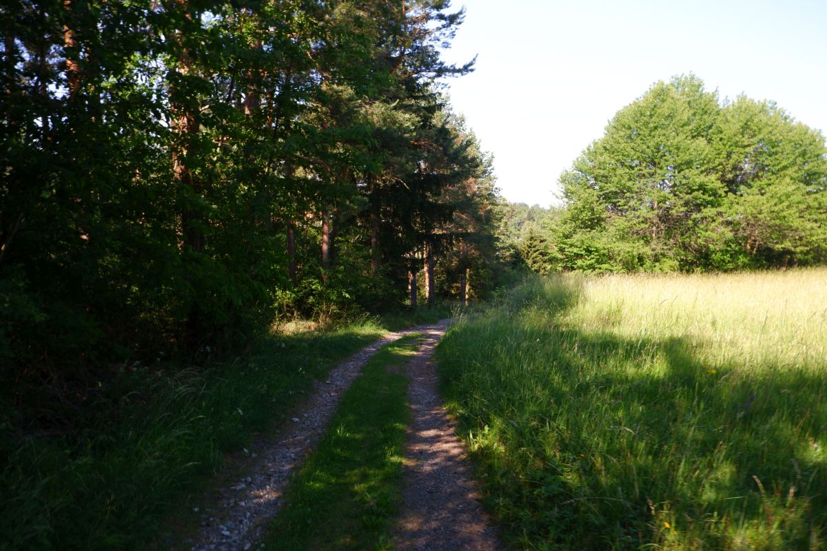 "Tut gut!"-Schritteweg Kottes-Purk