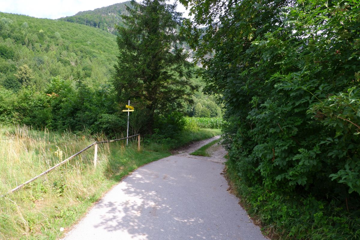 Thalhofrunde