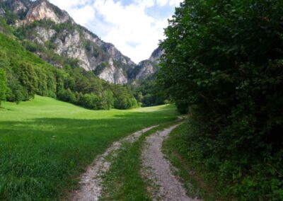 Thalhofrunde