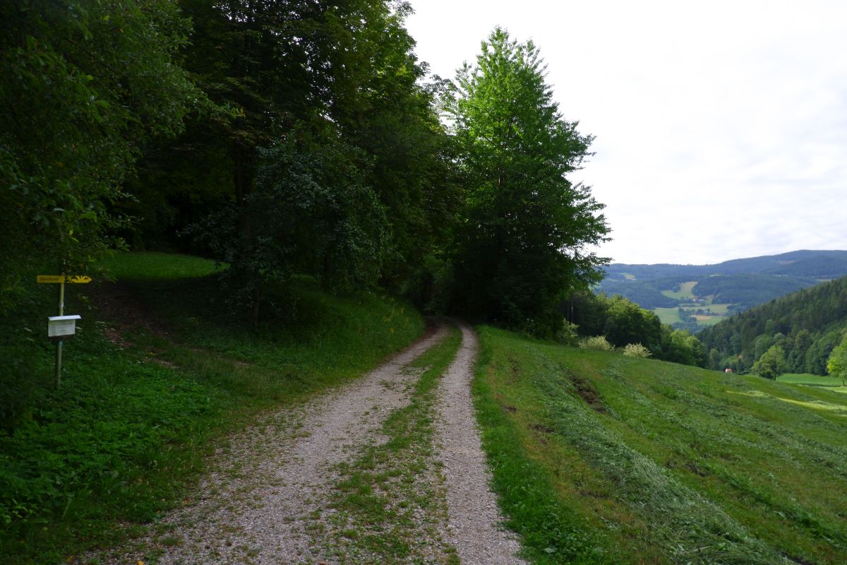 Thalhofrunde