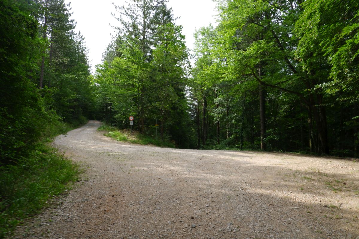 Thalhofrunde