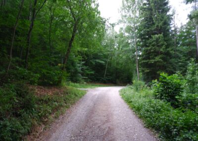 Thalhofrunde