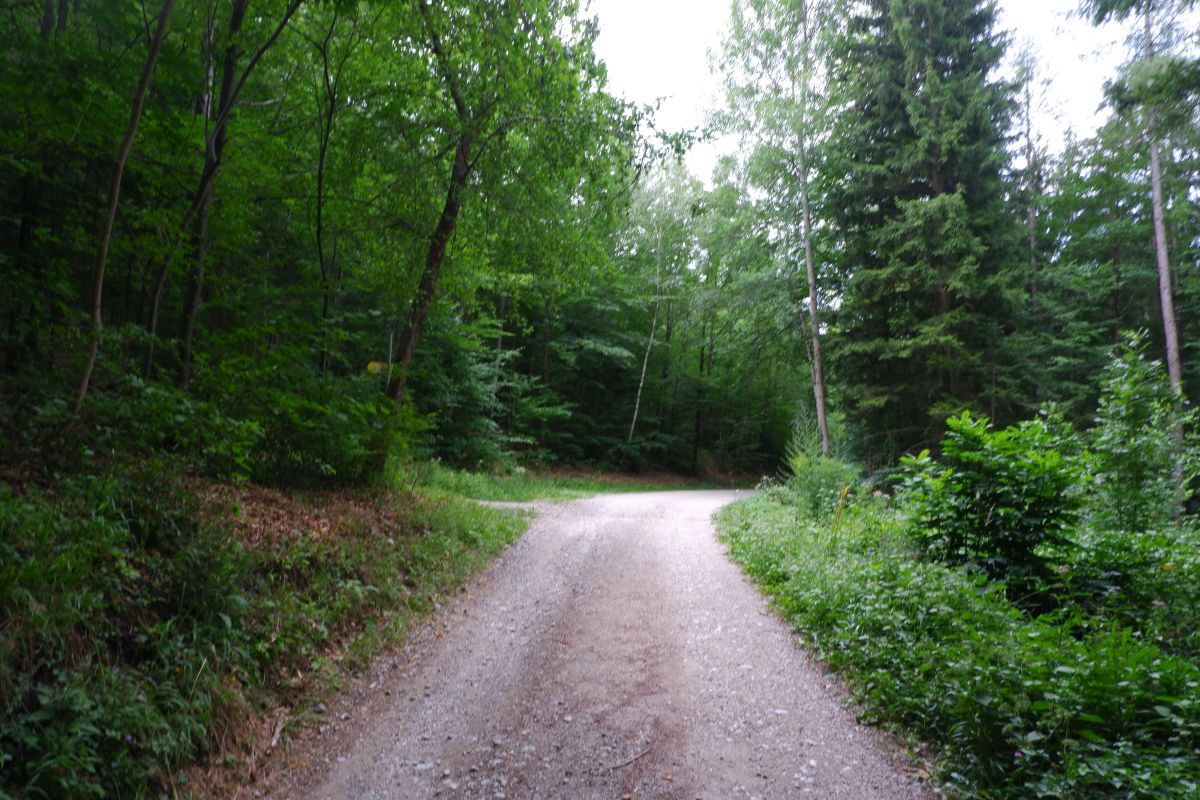 Thalhofrunde