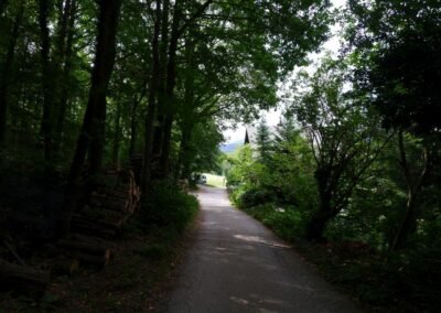 Thalhofrunde