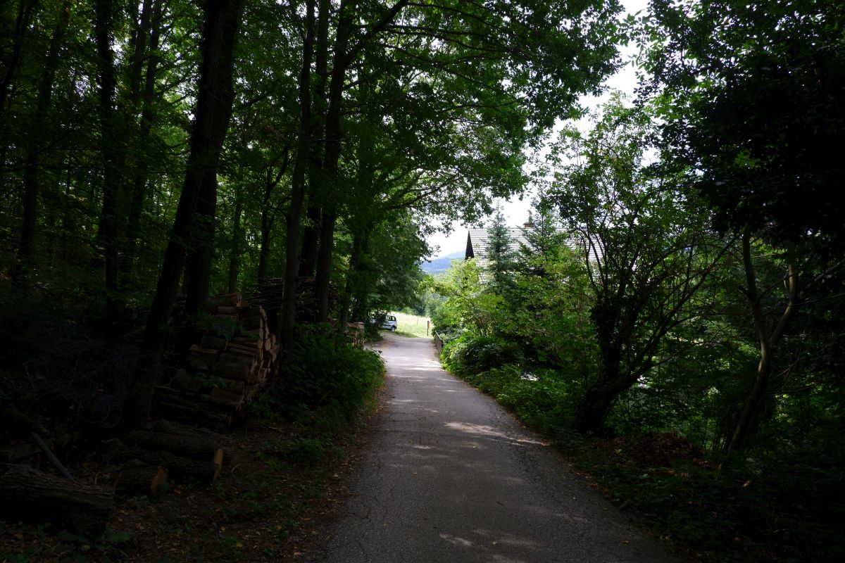 Thalhofrunde