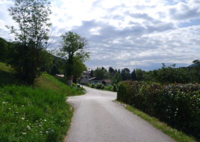 Thalhofrunde