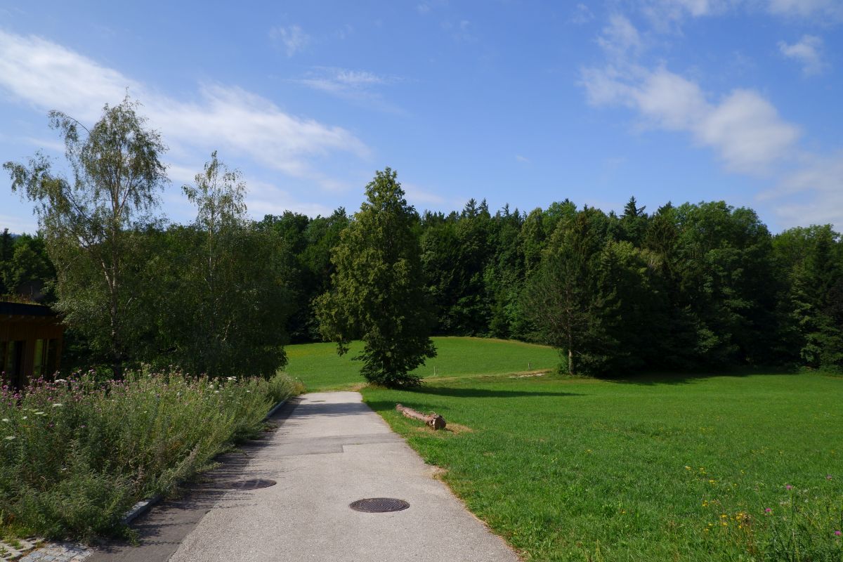 Thalhofrunde