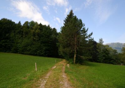 Thalhofrunde