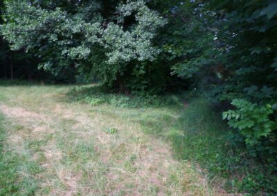 Thalhofrunde