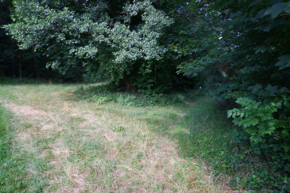 Thalhofrunde
