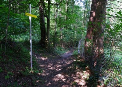 Thalhofrunde