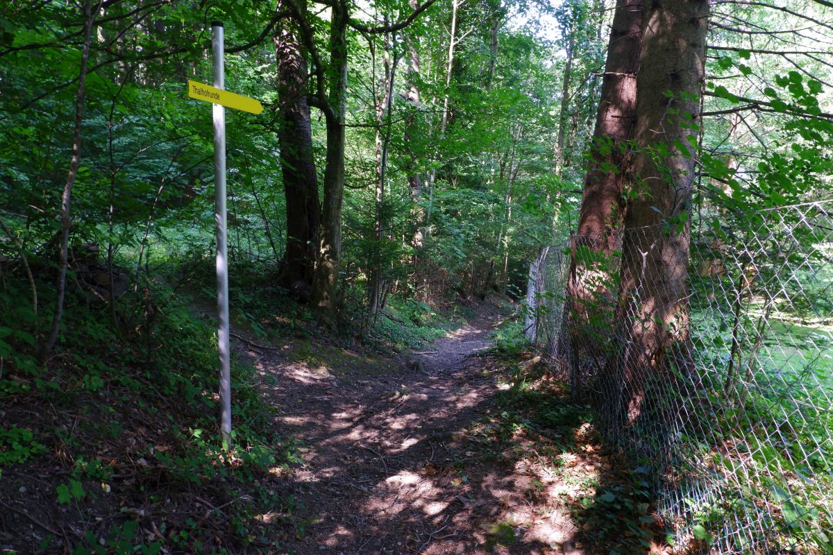 Thalhofrunde