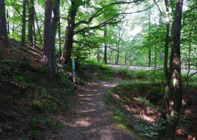 Thalhofrunde