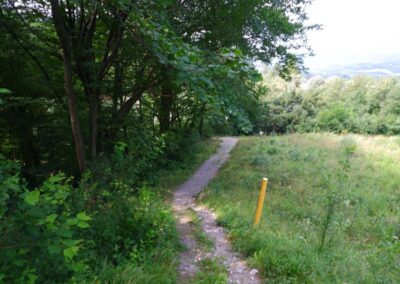 Thalhofrunde