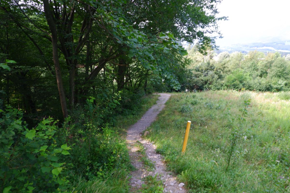 Thalhofrunde
