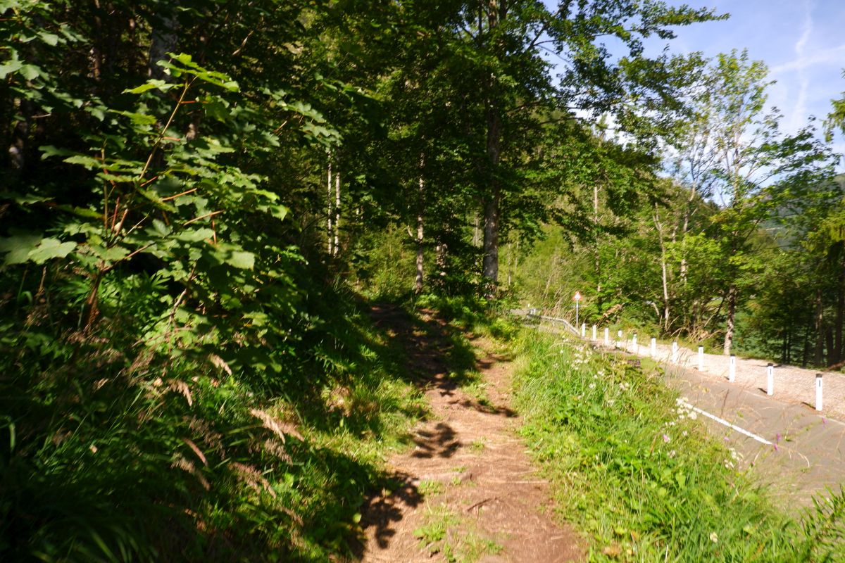 Rund um den Erlaufsee