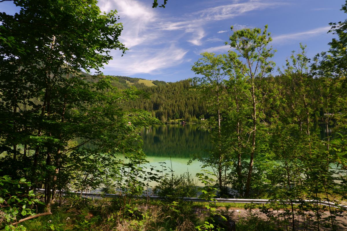Rund um den Erlaufsee