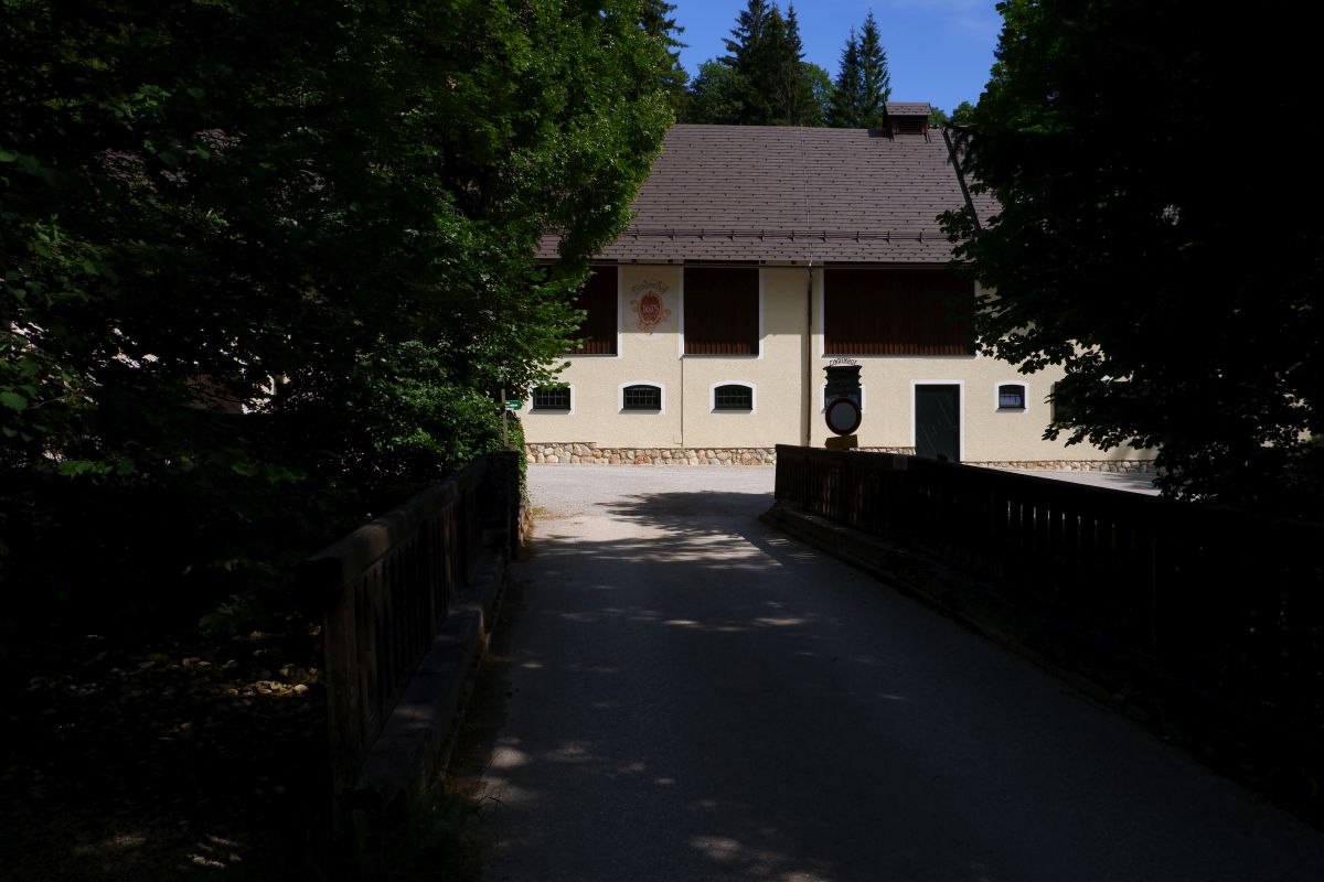 Rund um den Erlaufsee