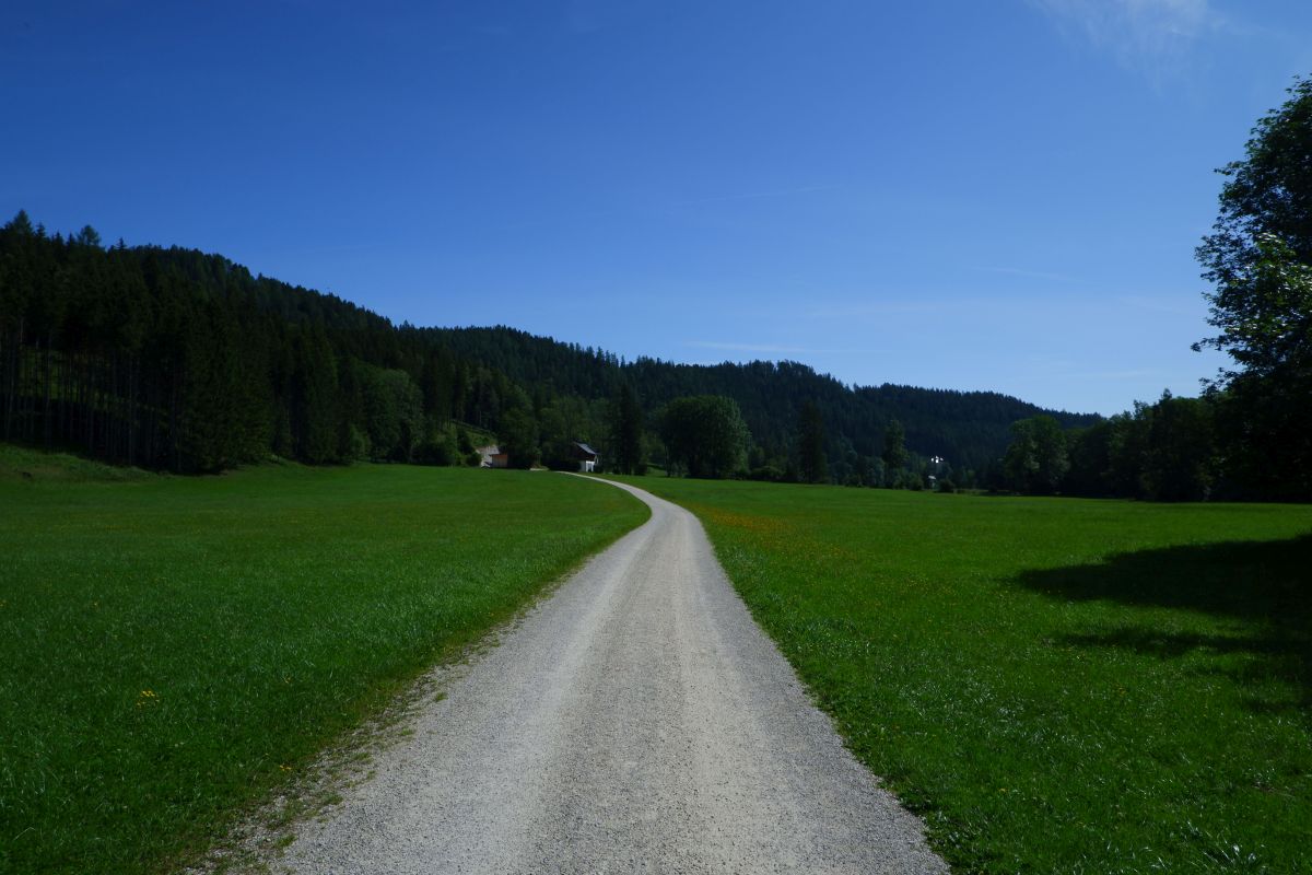Rund um den Erlaufsee