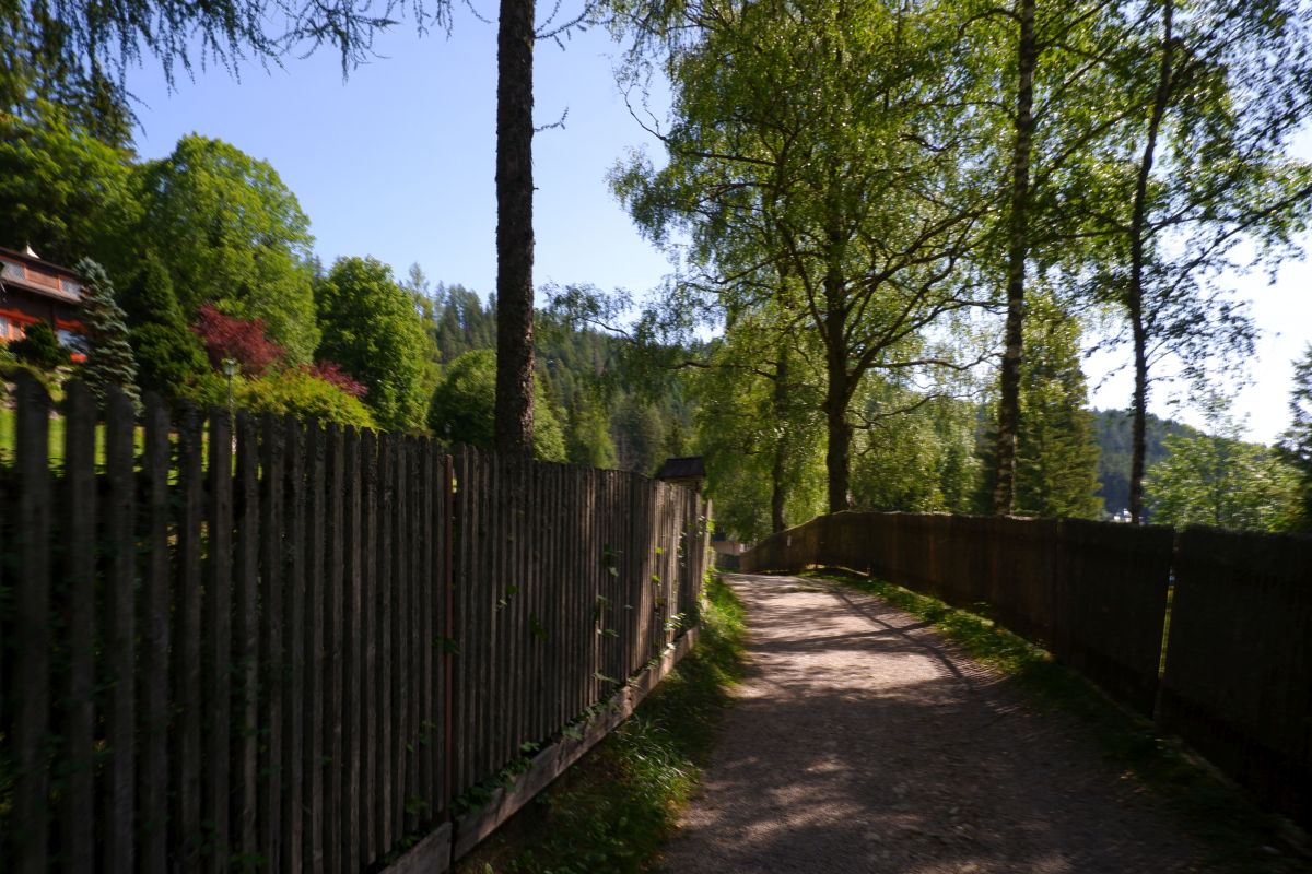 Rund um den Erlaufsee