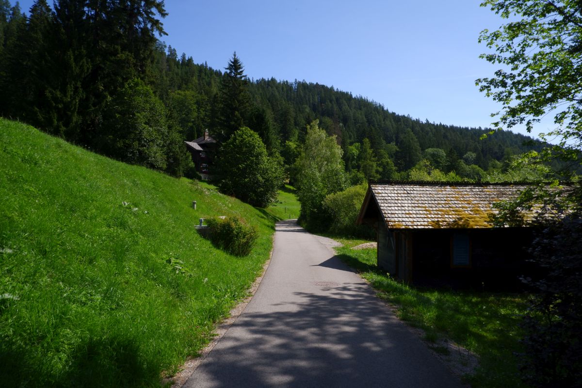 Rund um den Erlaufsee