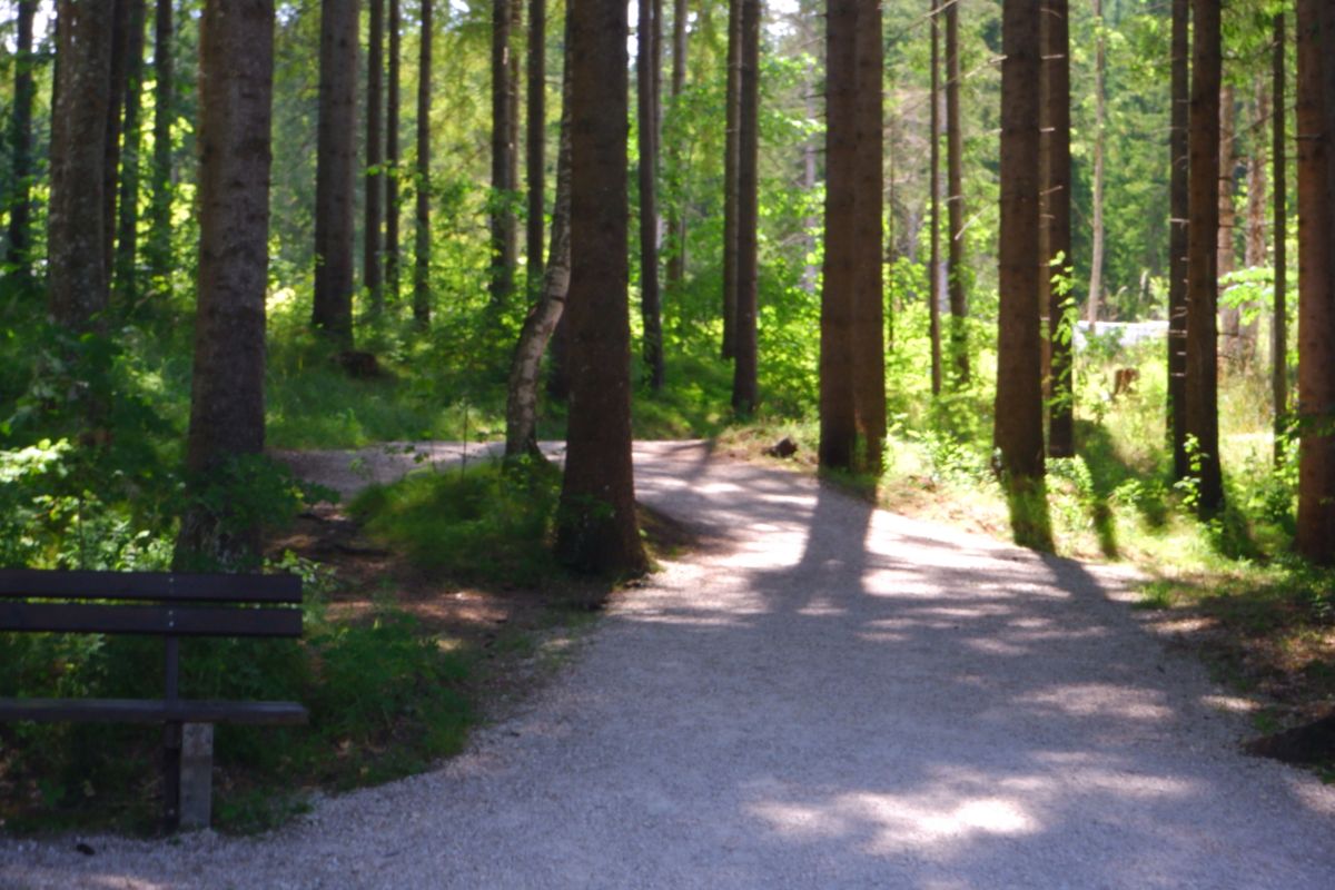 rund um den erlaufsee 049