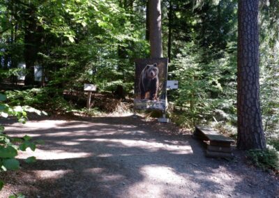 Bärenwald Arbesbach