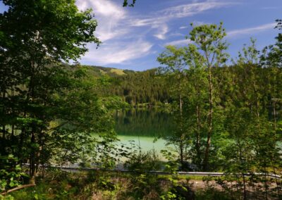 Vom Erlaufsee zum Erlaufursprung