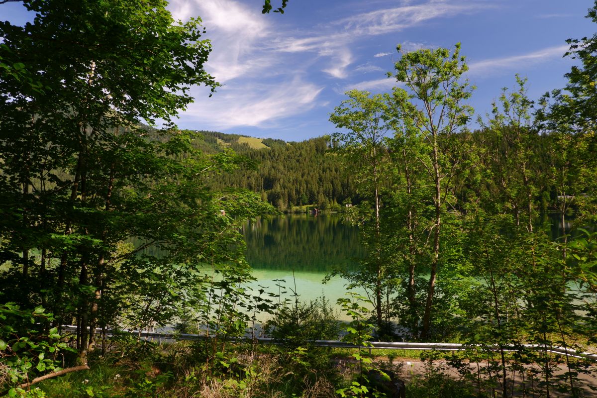Vom Erlaufsee zum Erlaufursprung
