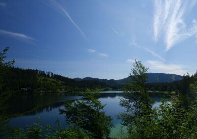 Vom Erlaufsee zum Erlaufursprung