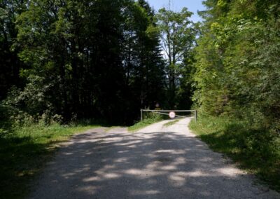 Vom Erlaufsee zum Erlaufursprung