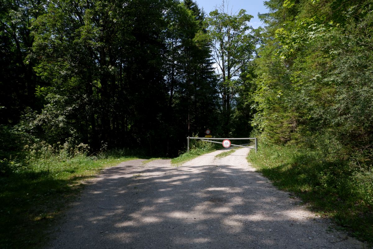 Vom Erlaufsee zum Erlaufursprung