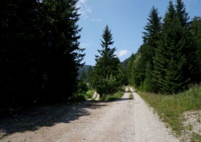 Vom Erlaufsee zum Erlaufursprung