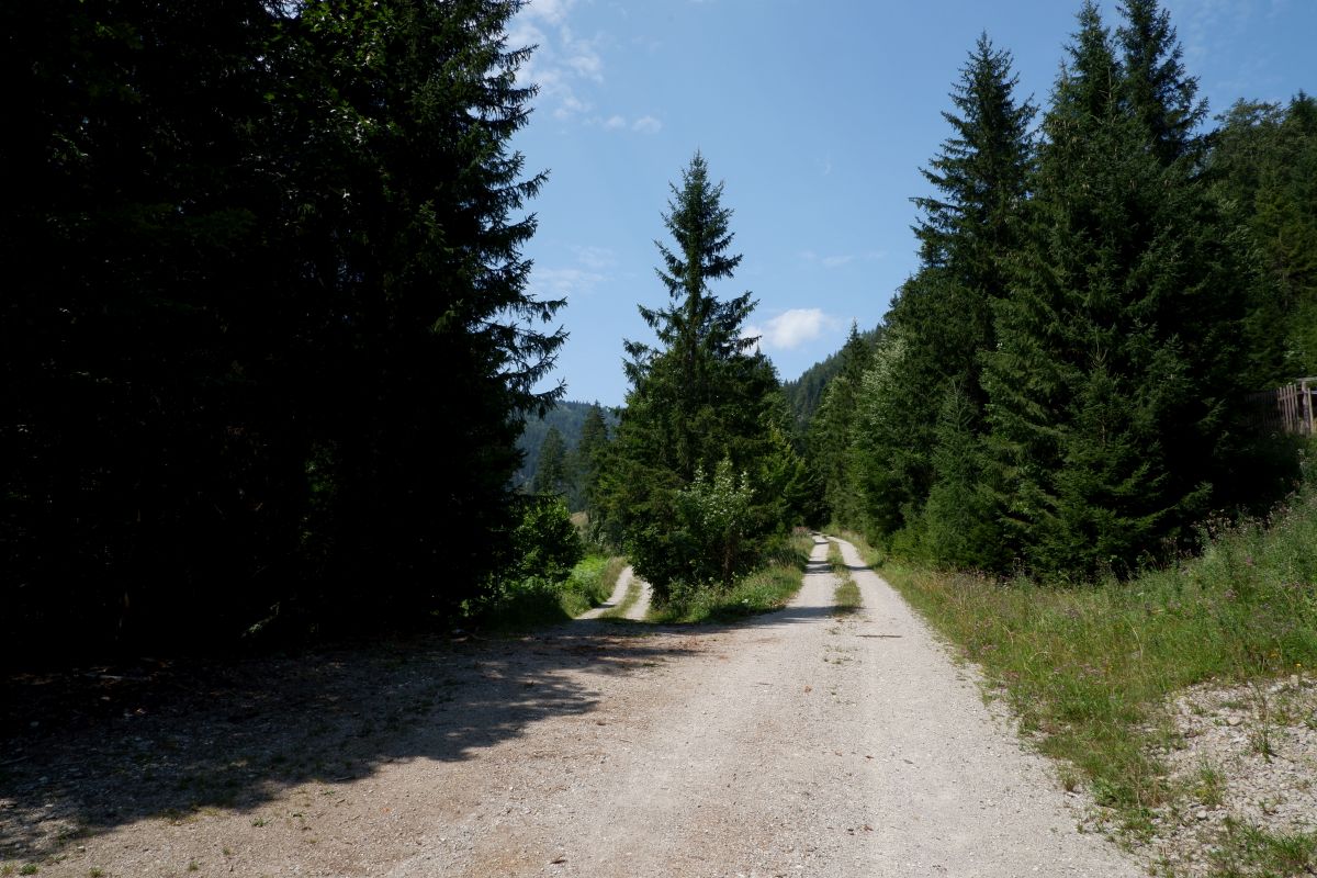 Vom Erlaufsee zum Erlaufursprung