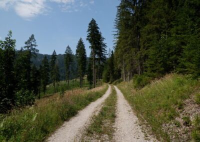 Vom Erlaufsee zum Erlaufursprung