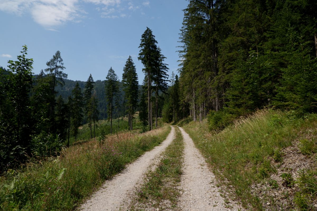 Vom Erlaufsee zum Erlaufursprung