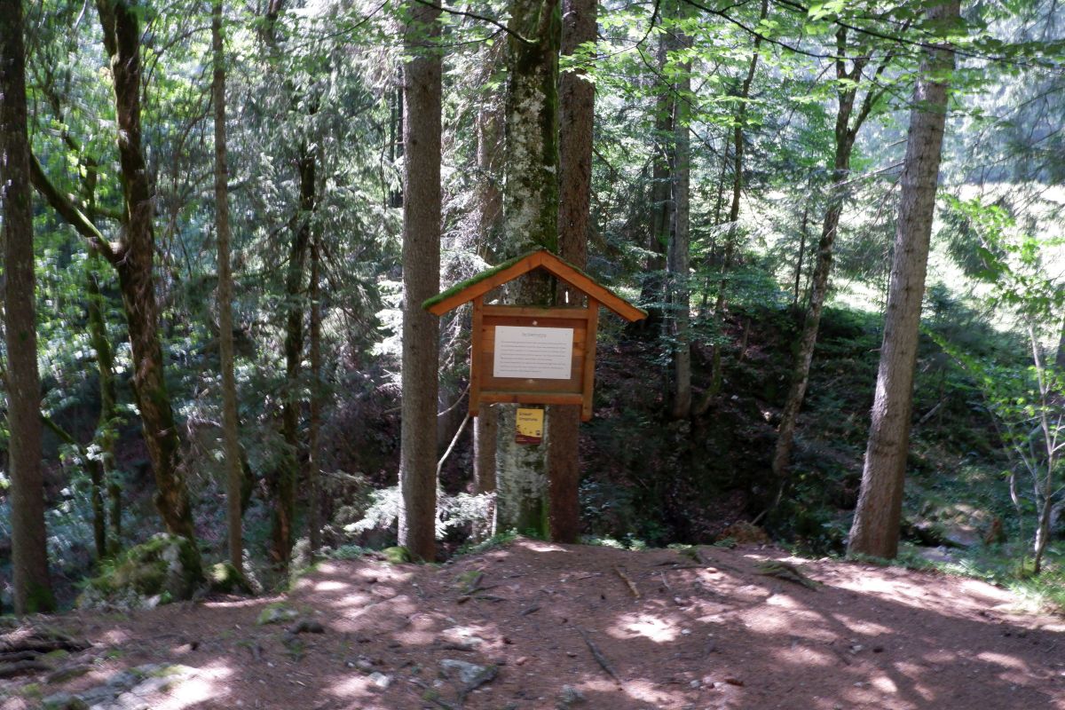 Vom Erlaufsee zum Erlaufursprung