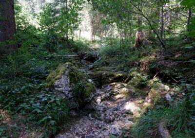 Vom Erlaufsee zum Erlaufursprung