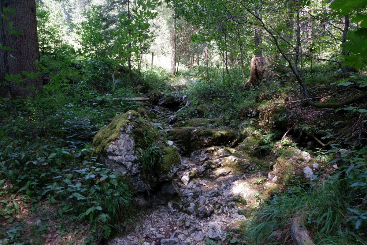 Vom Erlaufsee zum Erlaufursprung