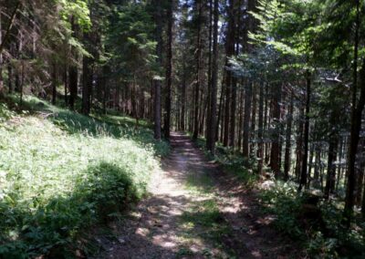 Vom Erlaufsee zum Erlaufursprung