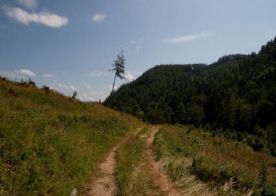 Vom Erlaufsee zum Erlaufursprung