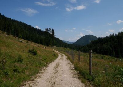 Vom Erlaufsee zum Erlaufursprung
