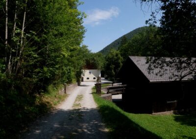 Vom Erlaufsee zum Erlaufursprung