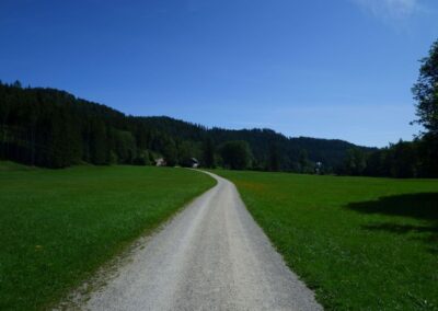 Vom Erlaufsee zum Erlaufursprung