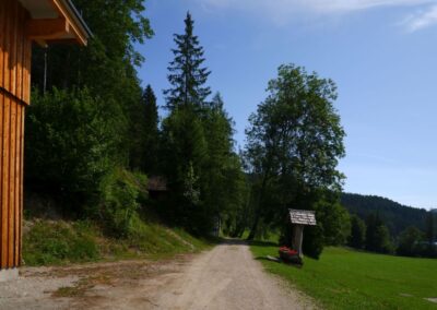 Vom Erlaufsee zum Erlaufursprung