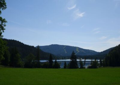 Vom Erlaufsee zum Erlaufursprung