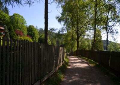 Vom Erlaufsee zum Erlaufursprung