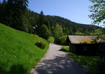 Vom Erlaufsee zum Erlaufursprung